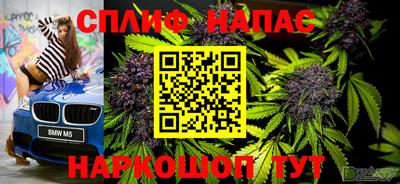 гашик Кунгур
