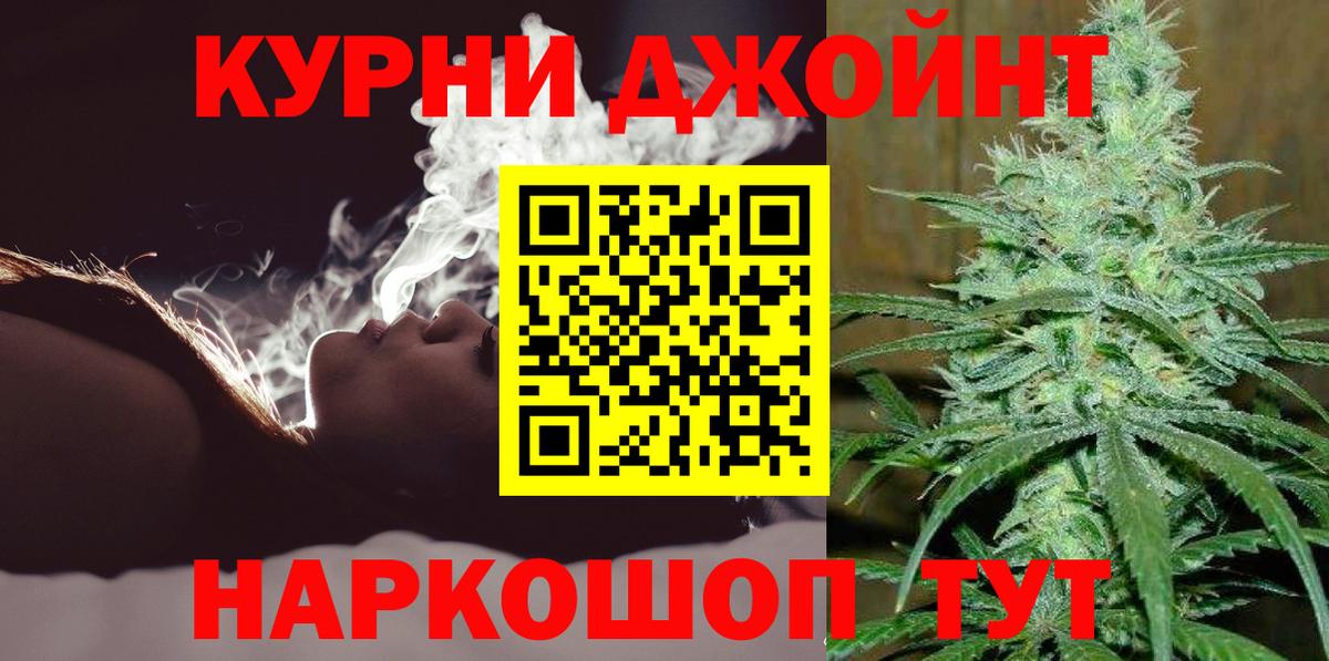 Бошки Шишки план Гусев